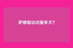 萨摩耶运动量多大？