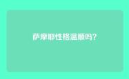 萨摩耶性格温顺吗？