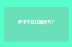 萨摩耶性格温顺吗？