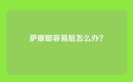 萨摩耶容易脏怎么办？