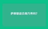 萨摩耶适合南方养吗？