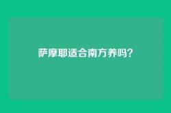 萨摩耶适合南方养吗？