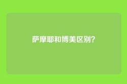 萨摩耶和博美区别？