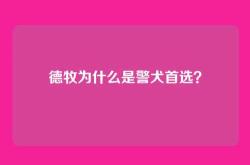 德牧为什么是警犬首选？