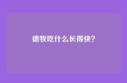 德牧吃什么长得快？