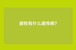 德牧有什么遗传病？