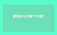 德牧和马犬哪个厉害？