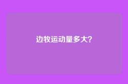 边牧运动量多大？