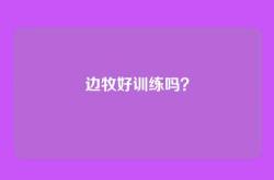 边牧好训练吗？