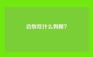 边牧吃什么狗粮？