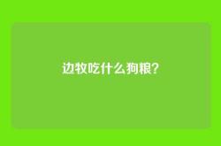 边牧吃什么狗粮？