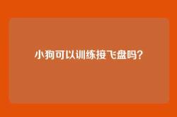 小狗可以训练接飞盘吗？