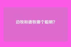 边牧和德牧哪个聪明？