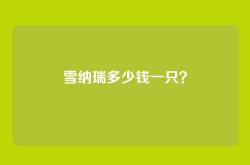 雪纳瑞多少钱一只？