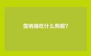 雪纳瑞吃什么狗粮？