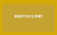 秋田犬为什么忠诚？