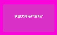 秋田犬掉毛严重吗？