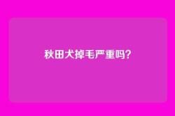 秋田犬掉毛严重吗？