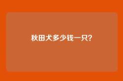 秋田犬多少钱一只？