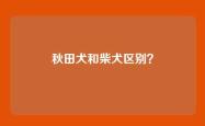 秋田犬和柴犬区别？