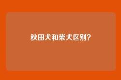 秋田犬和柴犬区别？