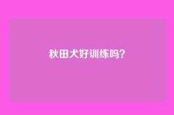 秋田犬好训练吗？