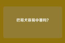 巴哥犬容易中暑吗？