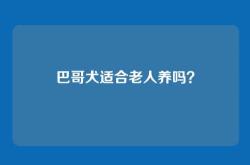 巴哥犬适合老人养吗？