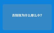 吉娃娃为什么那么小？
