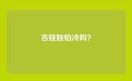 吉娃娃怕冷吗？