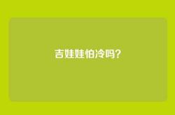 吉娃娃怕冷吗？