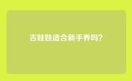 吉娃娃适合新手养吗？