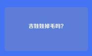 吉娃娃掉毛吗？