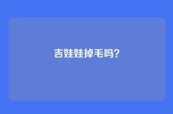 吉娃娃掉毛吗？