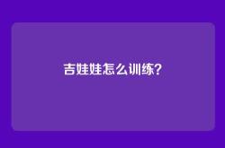 吉娃娃怎么训练？