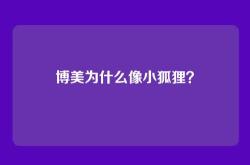 博美为什么像小狐狸？