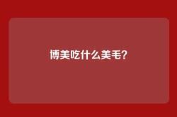 博美吃什么美毛？