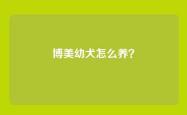 博美幼犬怎么养？