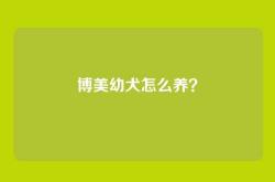 博美幼犬怎么养？