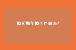 阿拉斯加掉毛严重吗？