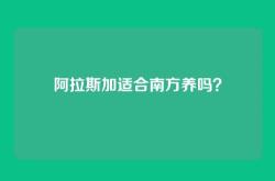 阿拉斯加适合南方养吗？