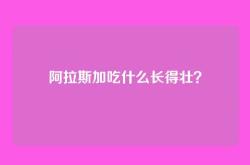 阿拉斯加吃什么长得壮？