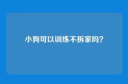 小狗可以训练不拆家吗？