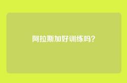 阿拉斯加好训练吗？