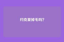 约克夏掉毛吗？