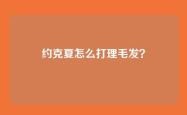约克夏怎么打理毛发？