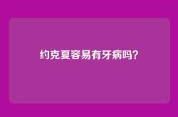 约克夏容易有牙病吗？
