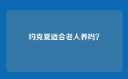 约克夏适合老人养吗？