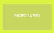 约克夏吃什么狗粮？