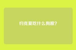 约克夏吃什么狗粮？